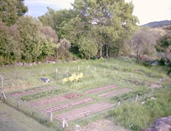 El huerto en abril de 2004. Vista noroeste.