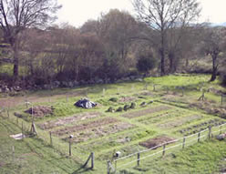 El huerto en enero de 2004. Vista noroeste.