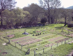 El huerto en febrero de 2004. Vista noroeste.