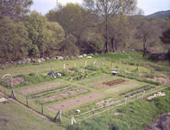 El huerto en marzo de 2004. Vista noroeste.