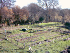 El huerto en noviembre de 2003. Vista noroeste.